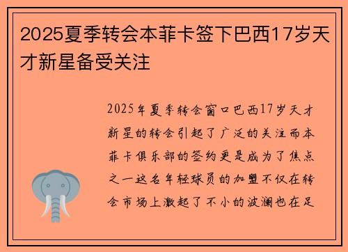 2025夏季转会本菲卡签下巴西17岁天才新星备受关注